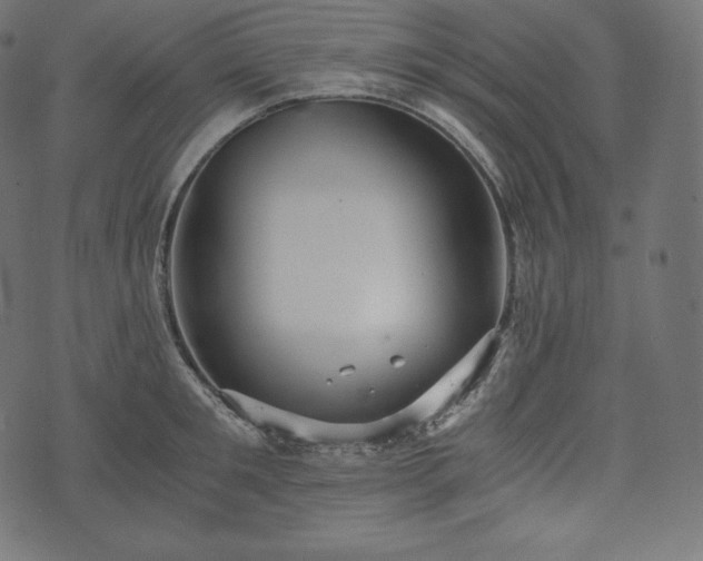 X0000073860901200608170939