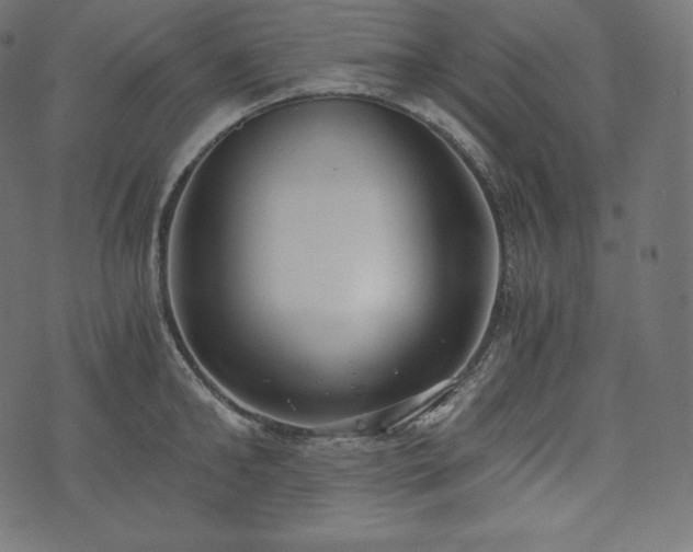 X0000073860902200608170939