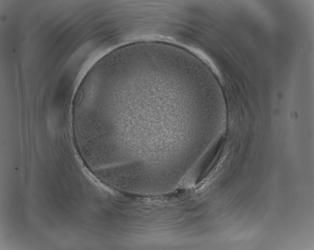 X0000073860903200608170939