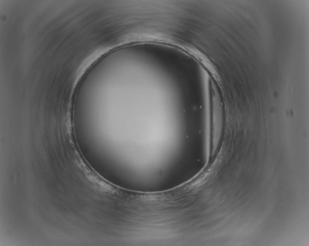 X0000073860904200608170939