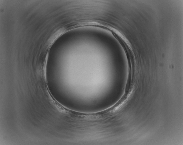 X0000073860905200608170939