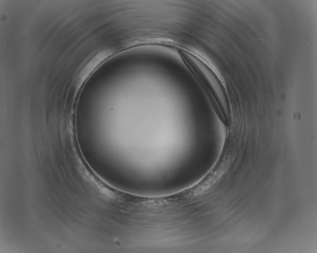 X0000073860906200608170939