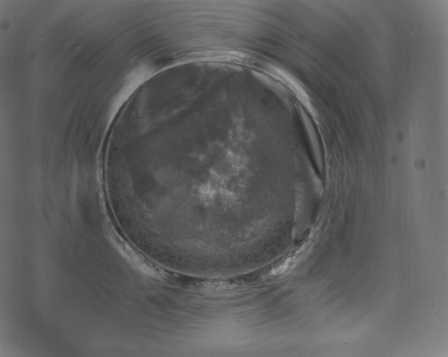 X0000073860907200608170939