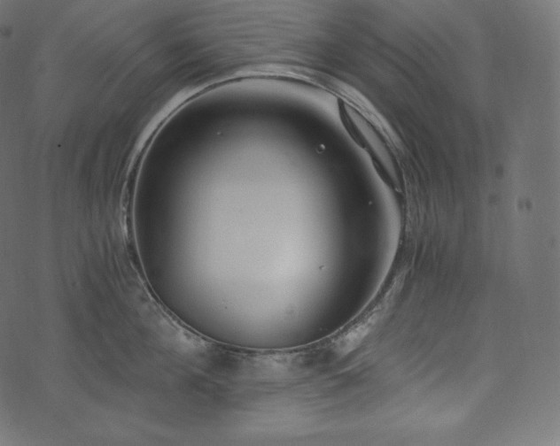 X0000073860908200608170939