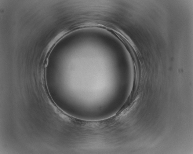 X0000073860909200608170939