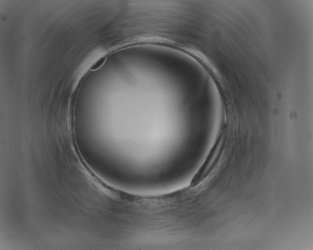 X0000073860910200608170939