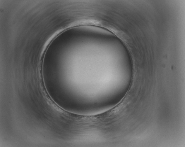 X0000073860912200608170939