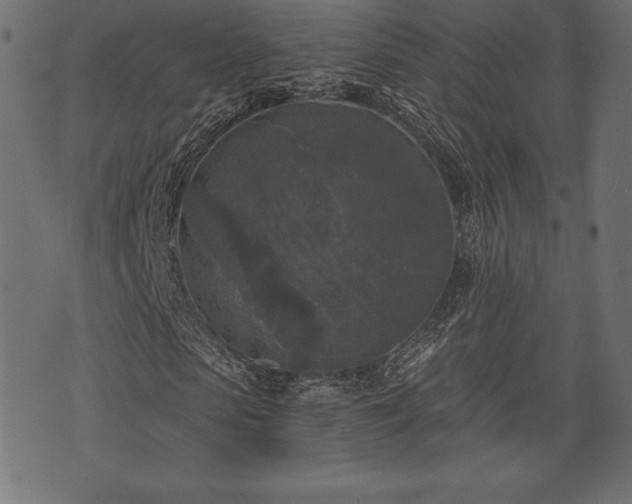 X0000073860913200608170938