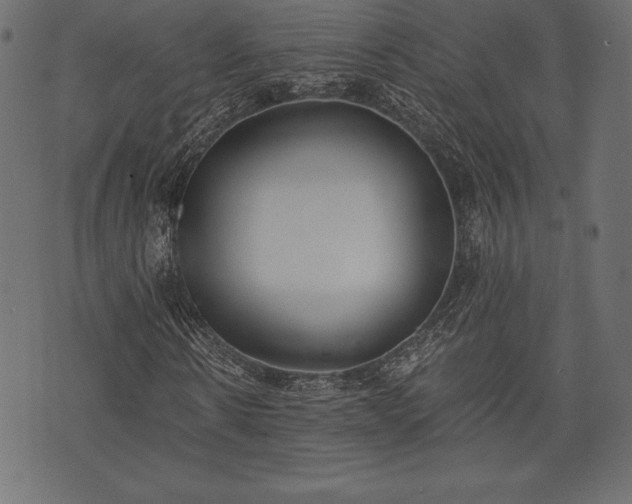 X0000073860914200608170938