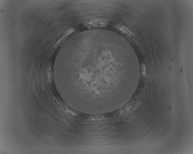 X0000073860915200608170938