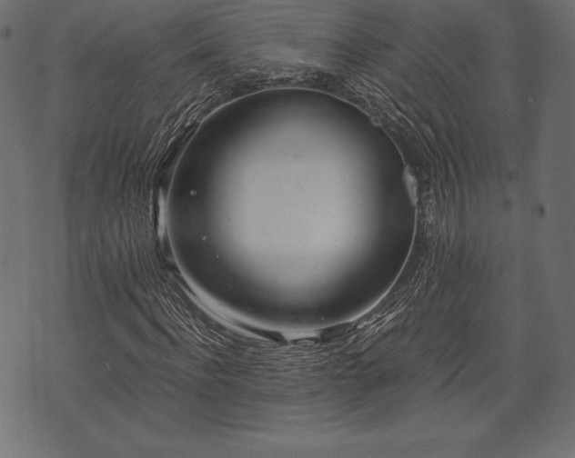 X0000073860916200608170938