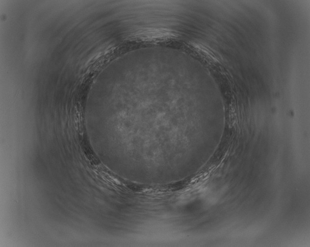 X0000073860917200608170938