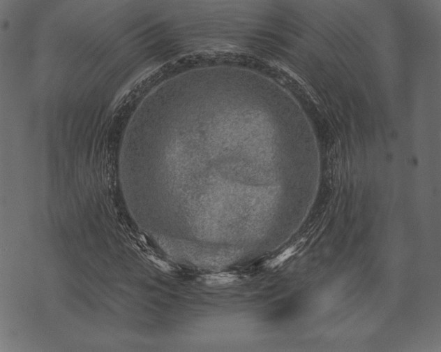 X0000073860919200608170938