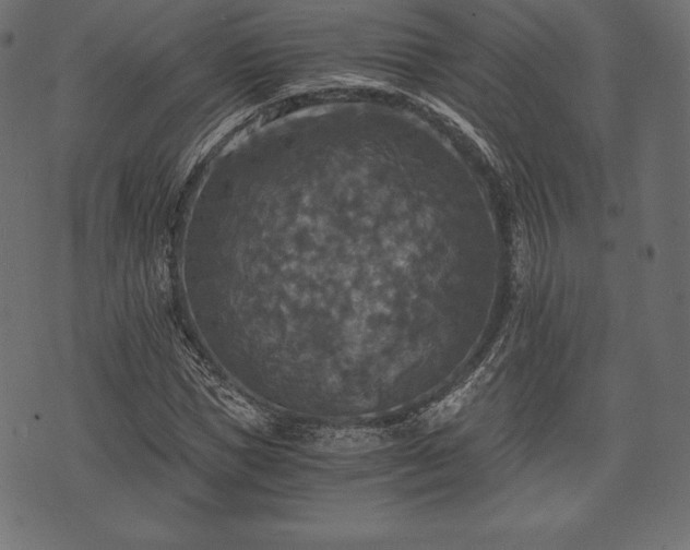 X0000073860921200608170938