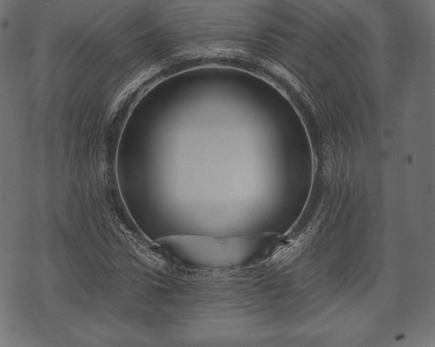 X0000073860922200608170938