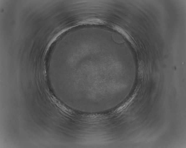 X0000073860923200608170938