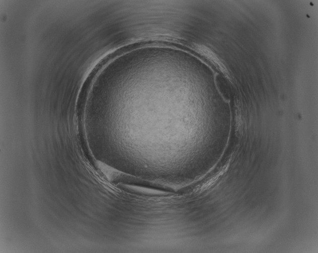 X0000073860924200608170938