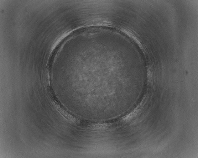 X0000073860925200608170938