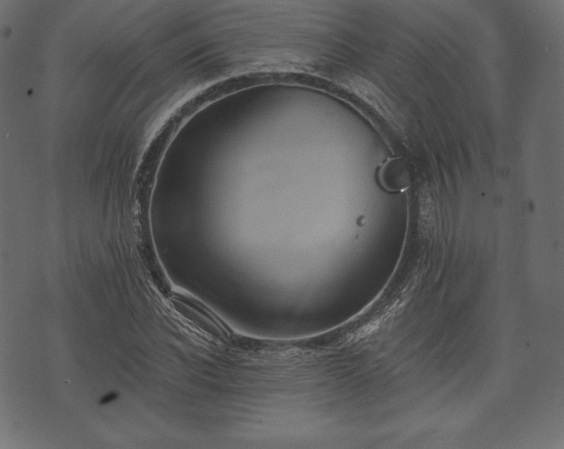 X0000073860926200608170938