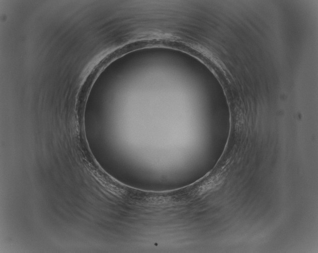 X0000073860927200608170939