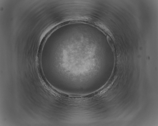 X0000073860928200608170939