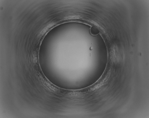 X0000073860929200608170939