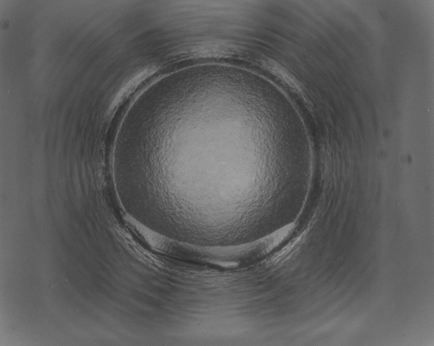 X0000073860930200608170939