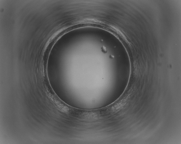 X0000073860931200608170939