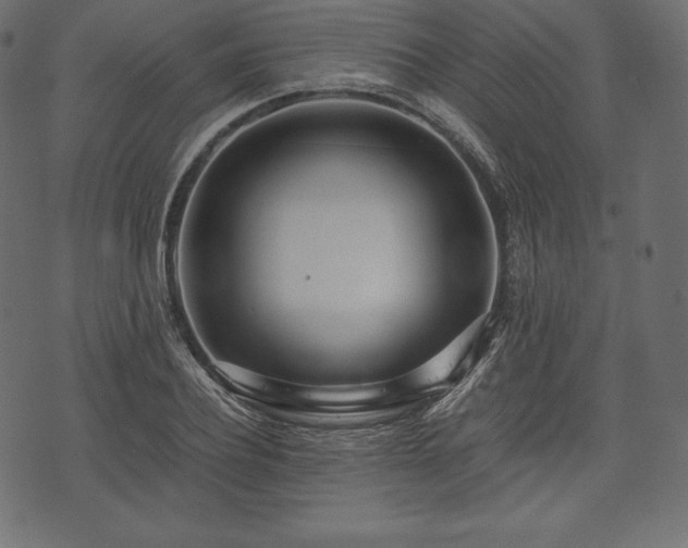 X0000073860932200608170939