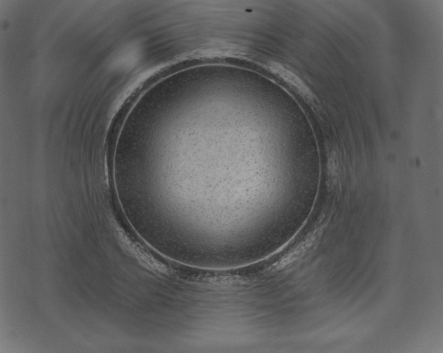 X0000073860934200608170939