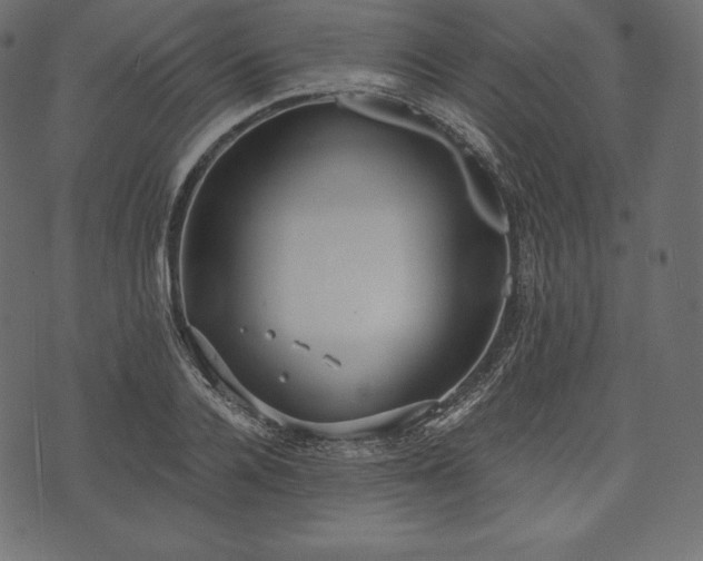 X0000073860936200608170939