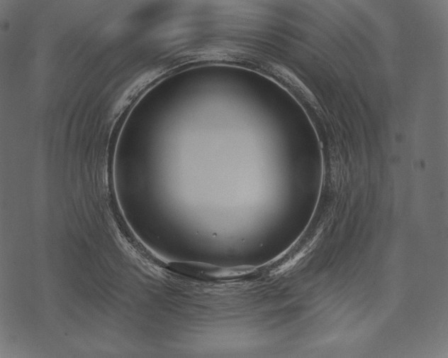 X0000073860938200608170939