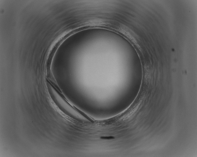 X0000073860939200608170939