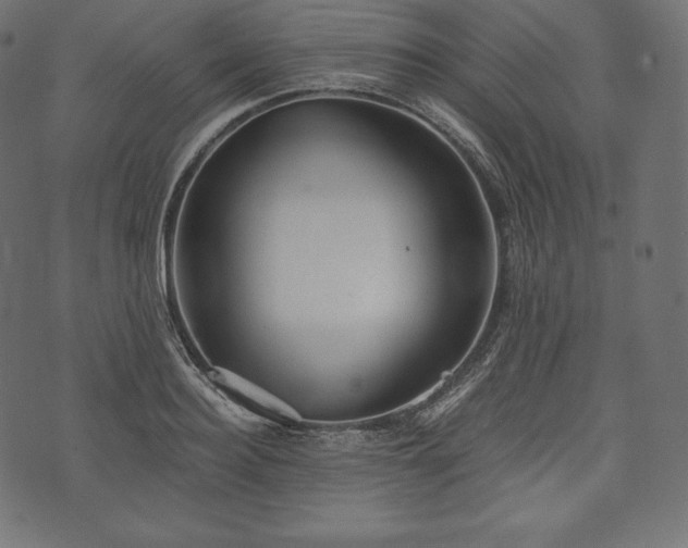 X0000073860940200608170939