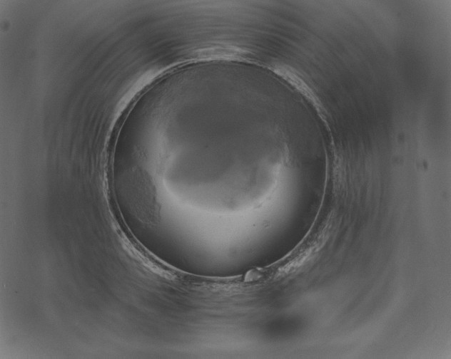 X0000073860941200608170939