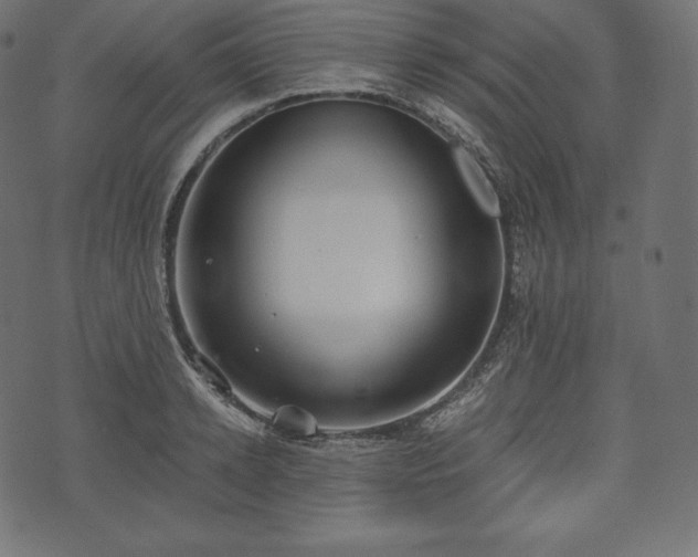 X0000073860942200608170939