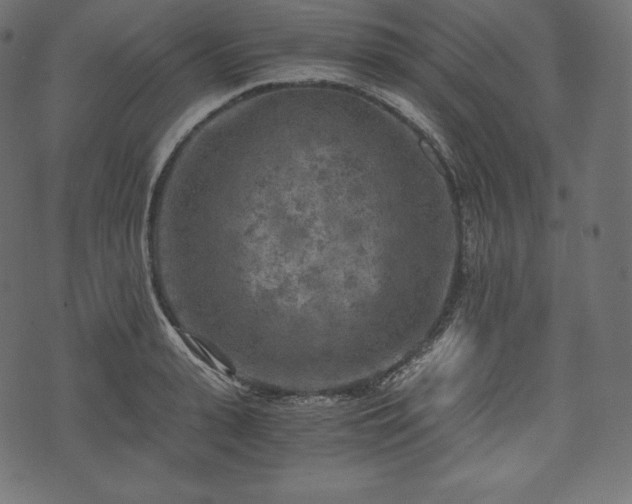 X0000073860943200608170939