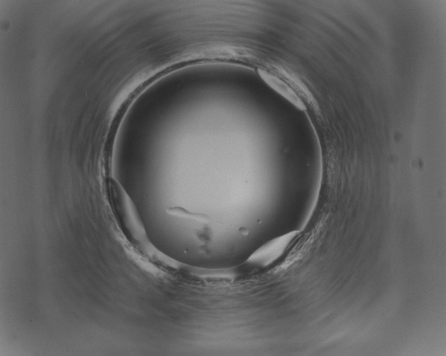 X0000073860944200608170939