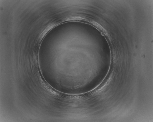 X0000073860945200608170939