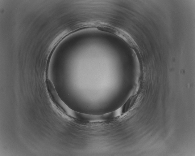 X0000073860946200608170939