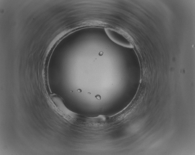 X0000073860947200608170939