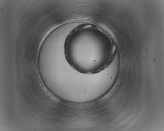 X0000073860948200608170939