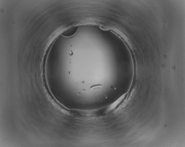 X0000073860949200608170939