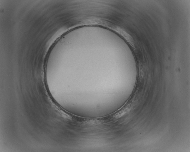 X0000073860950200608170939