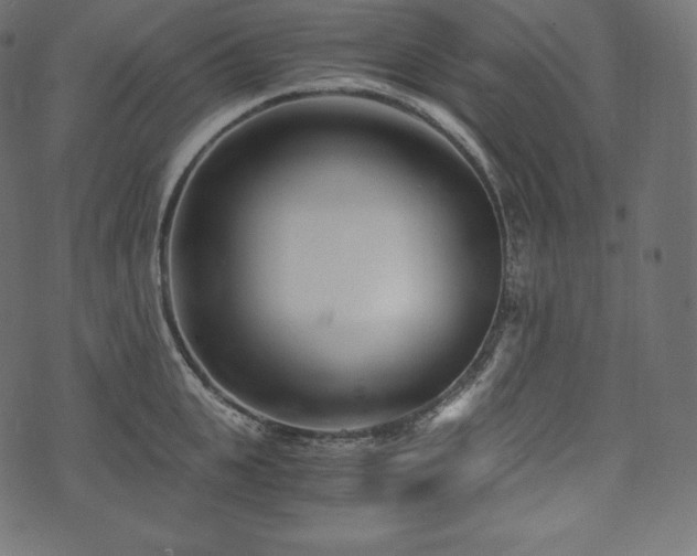 X0000073860951200608170939