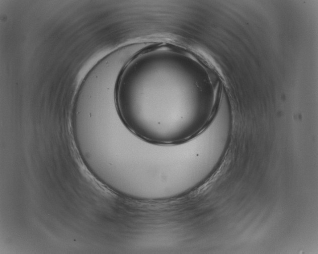 X0000073860952200608170939