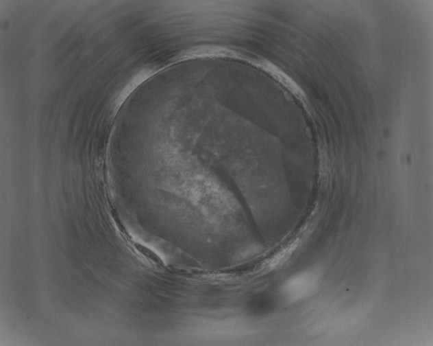 X0000073860953200608170939