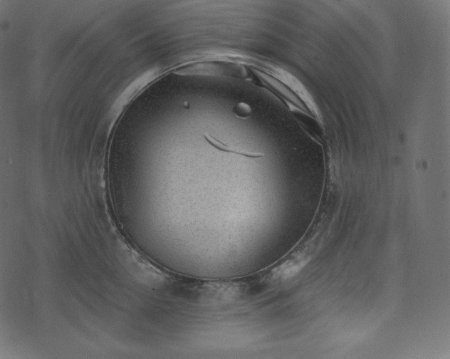 X0000073860954200608170939