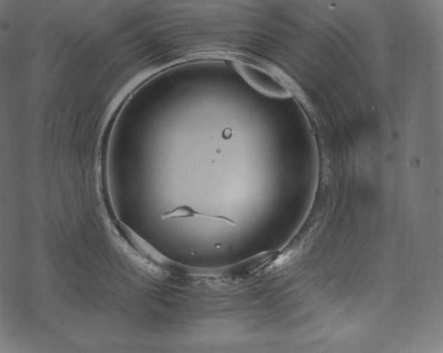 X0000073860955200608170939