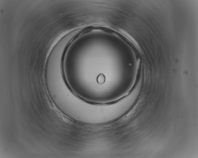 X0000073860956200608170939